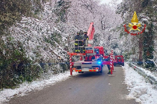 Emergenza neve nelle Marche: 320 interventi dei vigili del fuoco